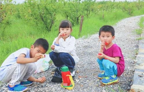 合肥三瓜公社吃,合肥特色美食之旅，探寻瓜果飘香的小镇风情”