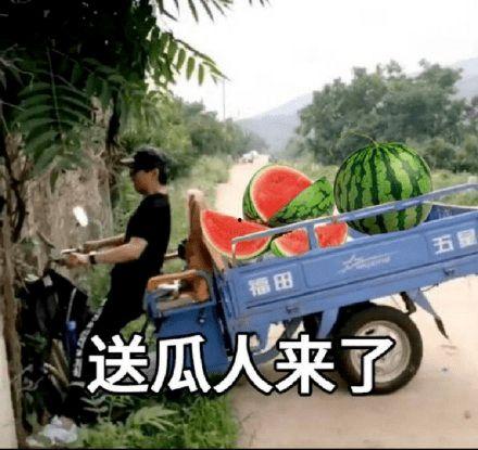 吃瓜摸鱼头像,揭秘吃瓜摸鱼背后的趣味人生