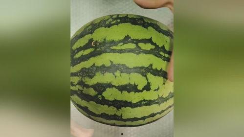 骚瓜都怎么吃,解锁美味新境界