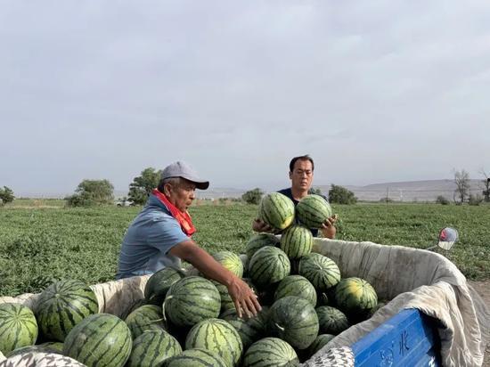 南通第一深情吃瓜,一场关于美食与情感的独特体验