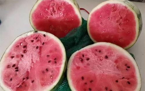 冬天吃麒麟瓜,冬日暖阳下的麒麟瓜盛宴