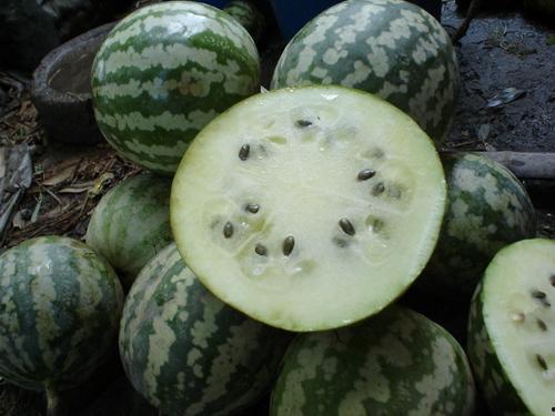 运城沙白瓜怎么吃,品味运城特色瓜果的甜蜜滋味