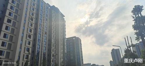 重庆融创吃瓜,揭秘背后真相与争议