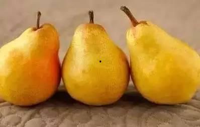 晓瓜蜜怎么吃,解锁美味新方式