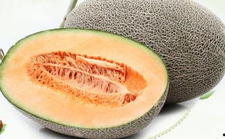 吃哈密瓜堵嗓子,却小心堵嗓子，揭秘食用注意事项