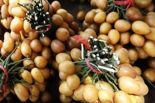 吃中药可以吃黄皮瓜么,黄皮瓜与中药同食的注意事项