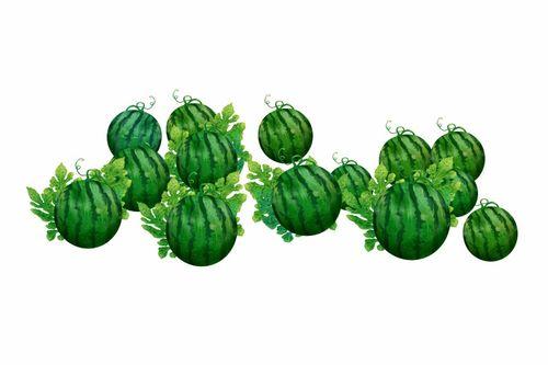 阿7吃瓜,揭秘娱乐圈背后的那些事儿