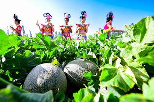 仙女都在吃瓜,揭秘明星们的幕后生活