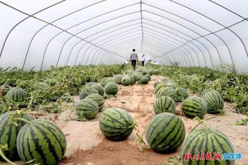 斜街吃瓜,探寻老街市井生活百态