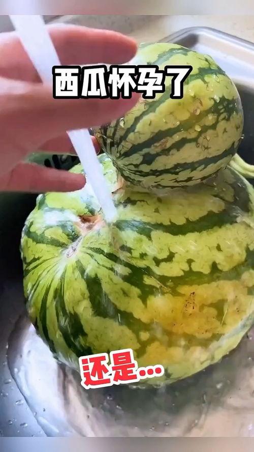 图文搞笑吃瓜,图文并茂的欢乐盛宴