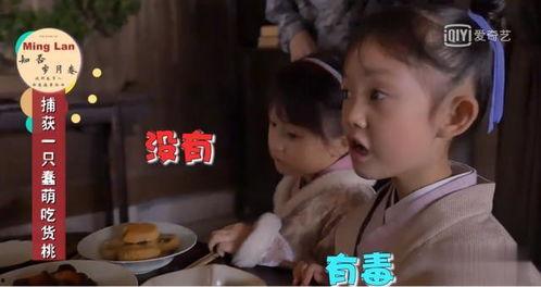 小小桃吃瓜,小小桃的瓜田奇遇记