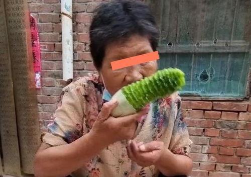 吃瓜把嘴巴吃流血了,嘴巴吃出血的惊人真相