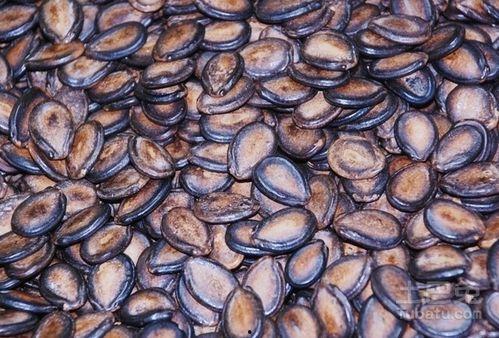 蛇信子吃瓜,蛇信子与瓜果的奇幻邂逅