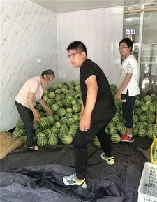 山上吃瓜格外甜