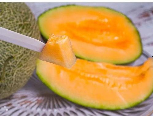 来新疆吃哈密瓜,品味甜蜜——哈密瓜的诱惑之旅